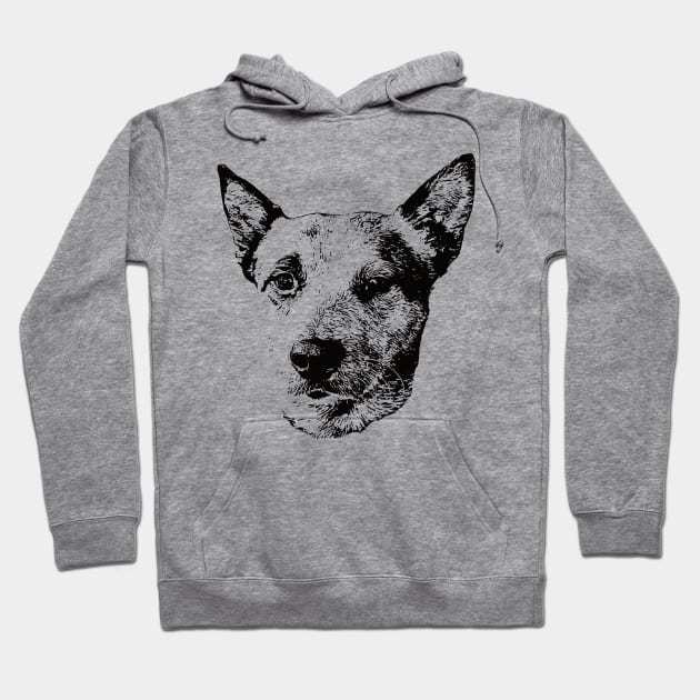 Australian Cattle Dog gift for Blue Heeler Owners Hoodie by DoggyStyles